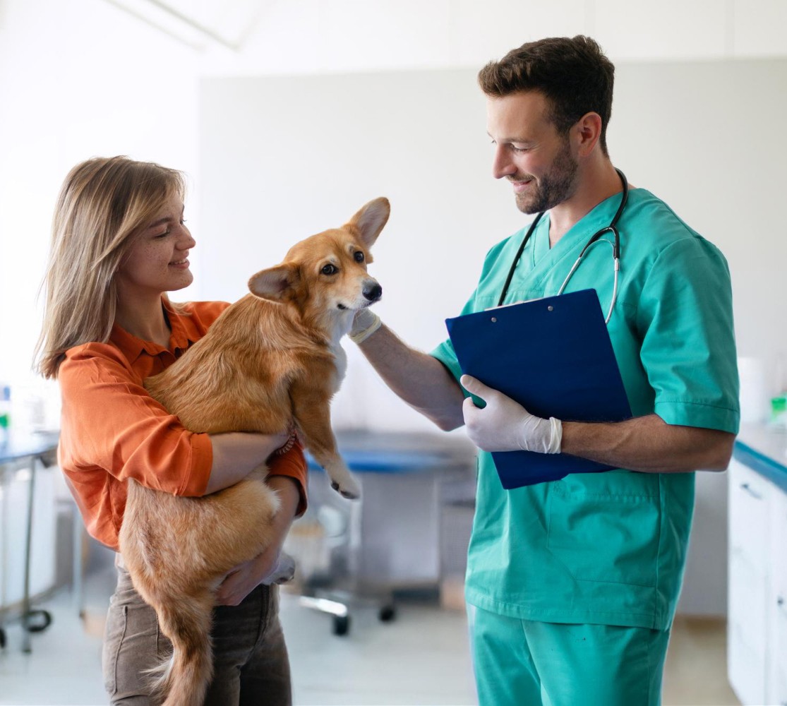 Atención veterinaria para mascotas